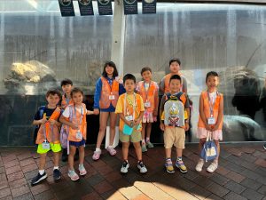 Where Body & Brain Meet the Ocean | MGA Summer Camp Field Trip to the New England Aquarium